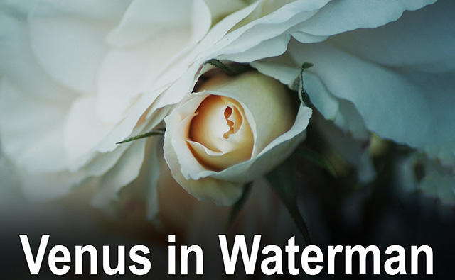 11 Venus in Waterman
