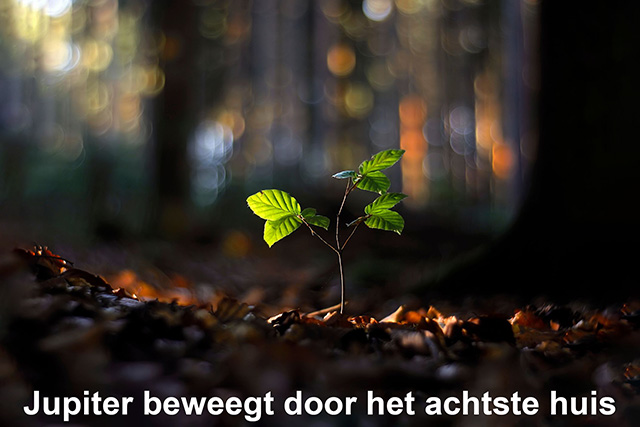 08 Jupiter beweegt door het achtste huis